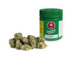 GMO Cookies 7g Dried Flower