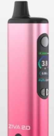 Ziva 2.0 Pink Gradient