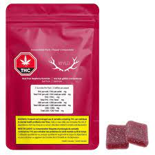 Wyld Real Fruit Raspberry 2 x 4g Soft Chews