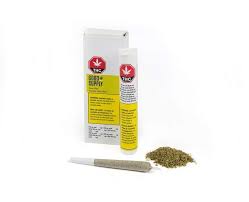 Jean Guy 14 x 0.5g PreRolls