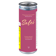 Dragonfruit Watermelon 355mL Sparkling Beverage